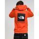 Фотография Кофта мужская The North Face Box Nse Po Hdie Retroorg (NF0A7UNSZV1) 2 из 2 в Ideal Sport