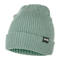 Шапка Jeep Ribbed Tricot Hat With Cuff J22w (O102600-E854), One Size, WHS, 1-2 дня