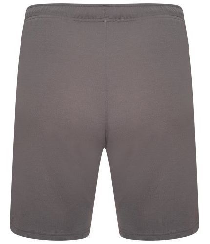 Шорти чоловічі Puma Teamrise Short (704942-13), M, WHS, < 10%, 1-2 дні