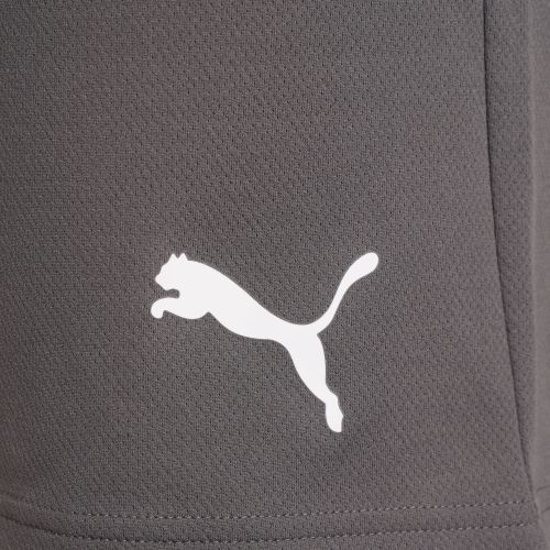 Шорти чоловічі Puma Teamrise Short (704942-13), M, WHS, < 10%, 1-2 дні