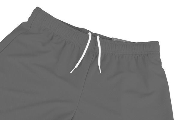 Шорти чоловічі Puma Teamrise Short (704942-13), M, WHS, < 10%, 1-2 дні
