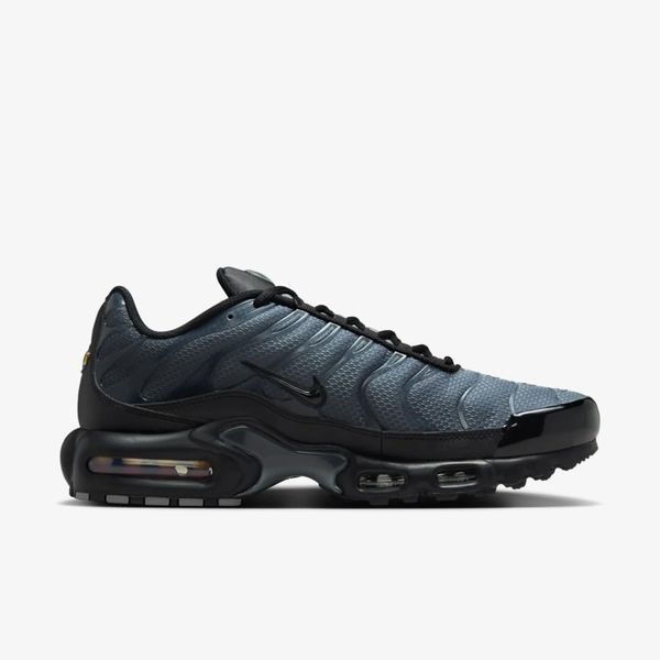 Кросівки чоловічі Nike Air Max Plus Prm (IB2253-001), 40.5, OFC, 1-2 дні