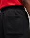 Фотографія Брюки чоловічі Jordan Essentials Men's Fleece Trousers (FJ7779-010) 5 з 5 в Ideal Sport