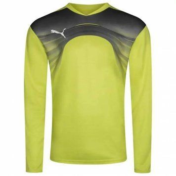 Кофта чоловіча Puma Goalkeeper (700785-32), M, WHS, 10% - 20%, 1-2 дні