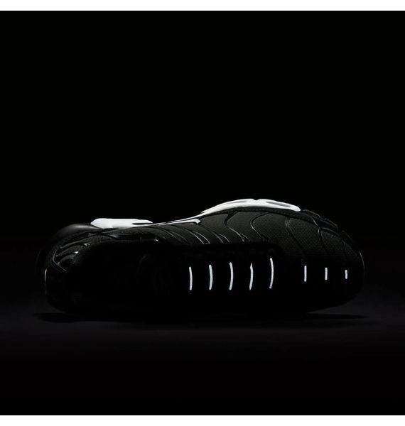 Кроссовки мужские Nike Air Max Plus (852630-031), 40, WHS, < 10%, 1-2 дня