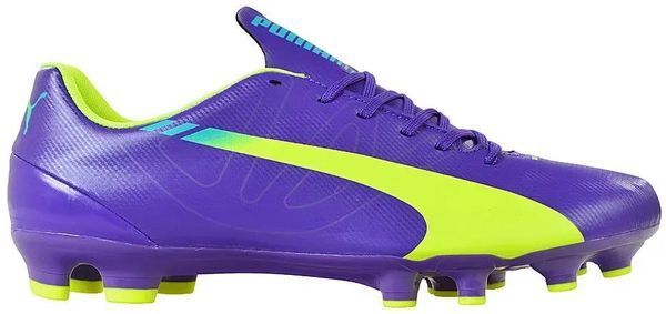 Бутсы унисекс Puma Evospeed 5.3 Fg (103111-01), 46, WHS, 1-2 дня