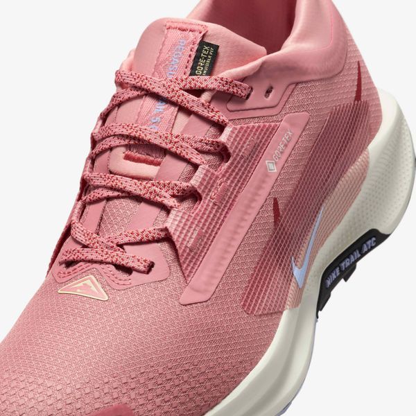 Кросівки жіночі Nike Pegasus Trail 5 Gore-Tex (FQ0912-602), 36.5, WHS, 1-2 дні