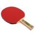 Фотография Теннисная ракетка Donic Legends (714407) 4 из 9 в Ideal Sport