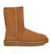 Фотографія Черевики жіночі Ugg Classic Short Ii Brown (1016223-CHE) 6 з 6 в Ideal Sport