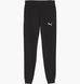 Фотографія Брюки чоловічі Puma Teamgoal Casuals Black (658598-03) 1 з 3 в Ideal Sport