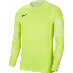 Кофта чоловічі Nike Dry Park Iv Goalkeeper Jersey Long Sleeve (CJ6066-702), L, WHS, 20% - 30%, 1-2 дні