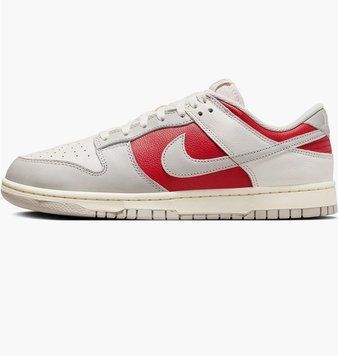 Кроссовки мужские Nike Dunk Low Light Iron (HJ9093-030), 44.5, WHS, 20% - 30%, 1-2 дня