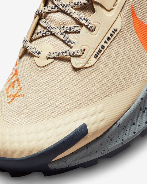 Кросівки для бігу чоловічі Nike Pegasus Trail 3 Gore-Tex (DC8793-200), 42, WHS, < 10%, 1-2 дні