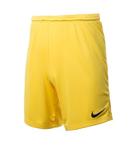 Шорти чоловічі Nike M Nk Dry Park Iii Short Nb K (BV6855-719), L, WHS, 20% - 30%, 1-2 дні