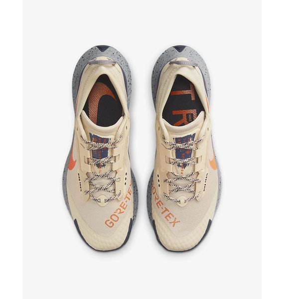 Кросівки для бігу чоловічі Nike Pegasus Trail 3 Gore-Tex (DC8793-200), 42, WHS, < 10%, 1-2 дні