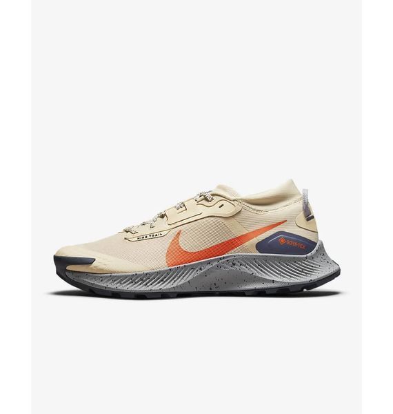 Кросівки для бігу чоловічі Nike Pegasus Trail 3 Gore-Tex (DC8793-200), 42, WHS, < 10%, 1-2 дні