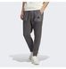Фотографія Брюки чоловічі Adidas City Escape Pants (IC9746) 2 з 7 в Ideal Sport