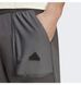 Фотографія Брюки чоловічі Adidas City Escape Pants (IC9746) 6 з 7 в Ideal Sport