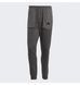 Фотографія Брюки чоловічі Adidas City Escape Pants (IC9746) 5 з 7 в Ideal Sport