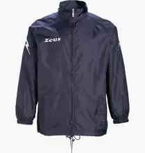 Z00313