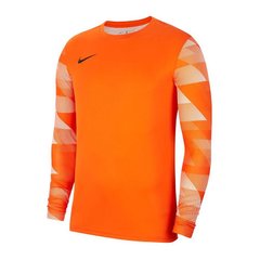 Кофта чоловічі Nike Dry Park Iv Goalkeeper Jersey Long Sleeve (CJ6066-819), L, WHS, 10% - 20%, 1-2 дні