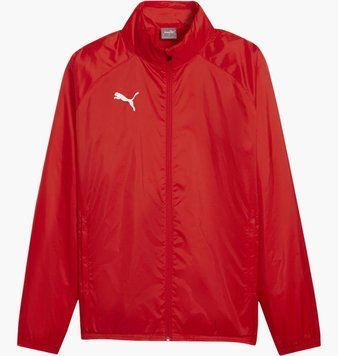 Кофта чоловіча Puma Teamgoal Allwetterjacke Rot F01 Red (659038-01), M, WHS, 10% - 20%, 1-2 дні