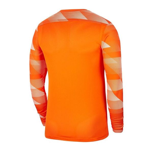 Кофта мужские Nike Dry Park Iv Goalkeeper Jersey Long Sleeve (CJ6066-819), L, WHS, 10% - 20%, 1-2 дня
