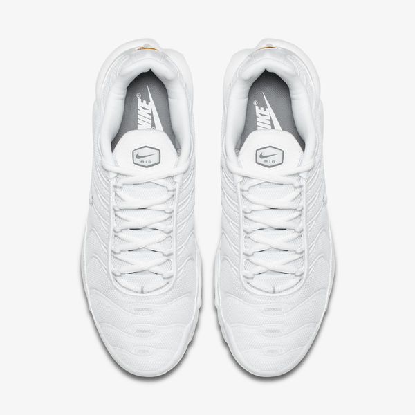 Кросівки чоловічі Nike Air Max Plus (604133-139), 43, WHS, 20% - 30%, 1-2 дні