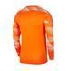 Фотографія Футбольна форма чоловіча Nike Dry Park Iv Goalkeeper Jersey Long Sleeve (CJ6066-819) 3 з 3 в Ideal Sport