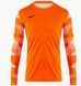 Фотографія Футбольна форма чоловіча Nike Dry Park Iv Goalkeeper Jersey Long Sleeve (CJ6066-819) 1 з 3 в Ideal Sport