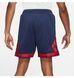 Фотографія Шорти чоловічі Jordan Psg Diamond Short (DB6518-410) 3 з 6 в Ideal Sport