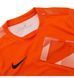 Фотографія Футбольна форма чоловіча Nike Dry Park Iv Goalkeeper Jersey Long Sleeve (CJ6066-819) 2 з 3 в Ideal Sport