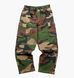 Фотографія Брюки чоловічі Dgk O.G.S. Camo (CPF-1065-005) 1 з 7 в Ideal Sport
