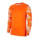Фотография Кофта мужские Nike Dry Park Iv Goalkeeper Jersey Long Sleeve (CJ6066-819) 1 из 2 в Ideal Sport