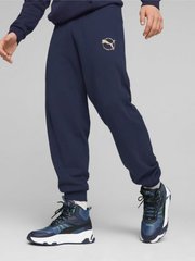 Брюки чоловічі Puma Better Sportswear Sweatpants (67606506), L, WHS, 1-2 дні