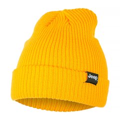 Шапка Jeep Ribbed Tricot Hat With Cuff J22w (O102600-Y247), One Size, WHS, 1-2 дні