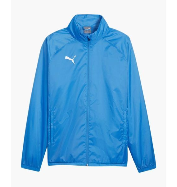 Кофта чоловіча Puma Teamgoal F02 Light Blue (659038-02), M, WHS, 10% - 20%, 1-2 дні