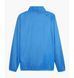 Фотографія Кофта чоловіча Puma Teamgoal F02 Light Blue (659038-02) 3 з 3 в Ideal Sport