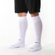 Фотография Футбольные гетры унисекс Nike Academy Over-The-Calf Football Socks (SX4120-101) 1 из 4 в Ideal Sport