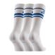 Фотографія Шкарпетки Nike U Nk Nsw Everyday Essential Crew 3Pr - Stripes (CQ0301-105) 2 з 2 в Ideal Sport