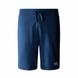 Фотография Шорты мужские The North Face Standard Short (NF0A3S4EHDC1) 1 из 2 в Ideal Sport