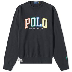 Кофта мужские Polo Ralph Lauren Multicolour Embroidery Arch Logo Crew Swea (710890191001), S, WHS, 10% - 20%, 1-2 дня