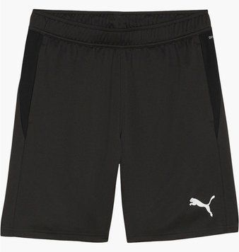 Шорты мужские Puma Teamgoal Training (658643-03), XL, WHS, < 10%, 1-2 дня