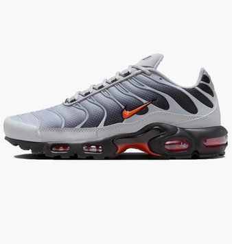 Кросівки чоловічі Nike Air Max Plus Wolf Grey (DM0032-011), 41, WHS, 30% - 40%, 1-2 дні