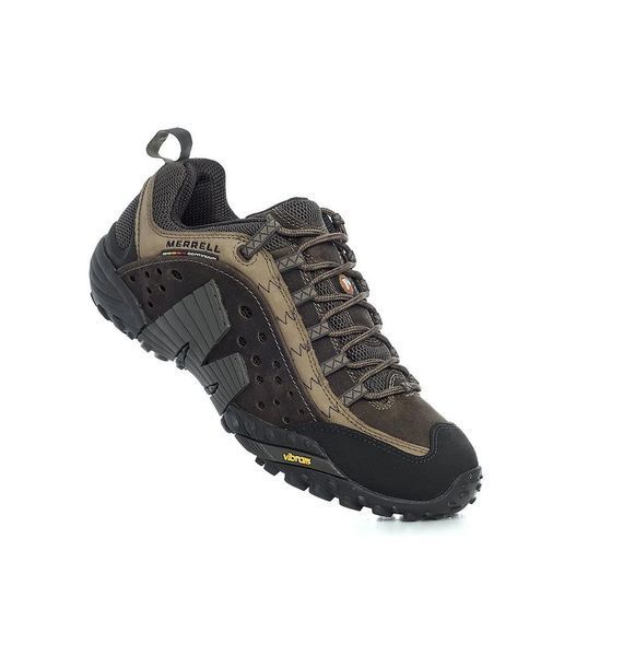 Ботинки мужские Merrell Intercept Moth Brown (J73705), 43.5, WHS, < 10%, 1-2 дня
