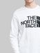Фотография Кофта мужские The North Face Standard Collar (NF0A5585FN41) 3 из 6 в Ideal Sport