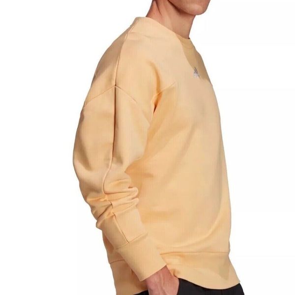 Кофта чоловічі Adidas M Internal Crew Pullover Sweatshirt Mens (HI0769), L, WHS, 10% - 20%, 1-2 дні