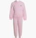 Фотография Спортивный костюм детской Jordan Jersey Pack Pink (35F123-A9Y) 1 из 3 в Ideal Sport