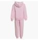 Фотография Спортивный костюм детской Jordan Jersey Pack Pink (35F123-A9Y) 2 из 3 в Ideal Sport