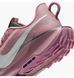 Фотография Кроссовки женские Nike Pegasus Trail 5 Plum Dust W (DV3865-500) 10 из 10 в Ideal Sport